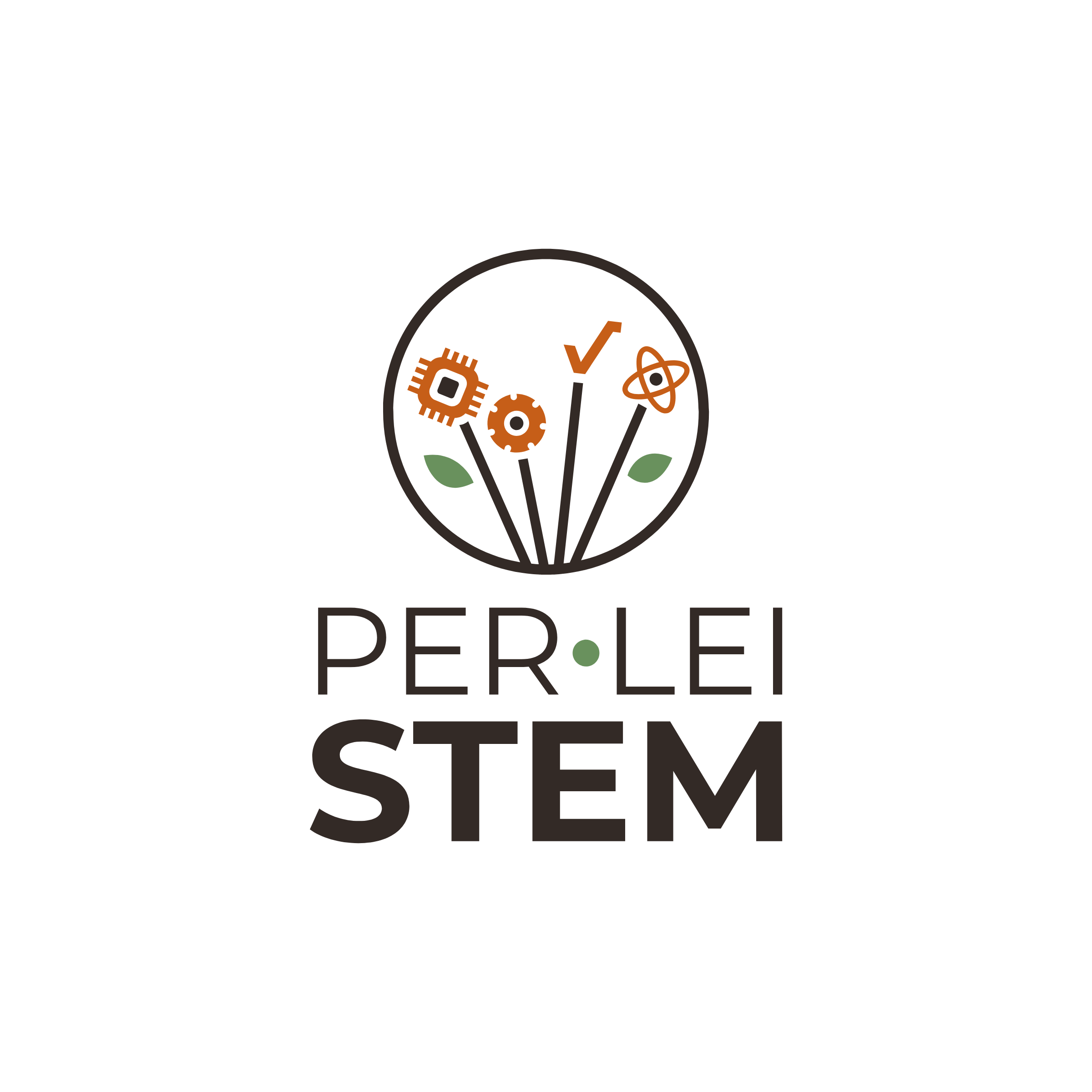 PER-LEI-STEM | Sapienza Università di Roma